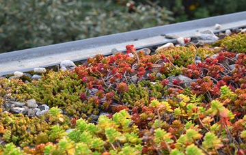 the cost of Hungerford Newtown green roof installation