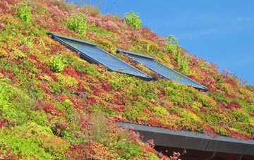 Hungerford Newtown living roof systems